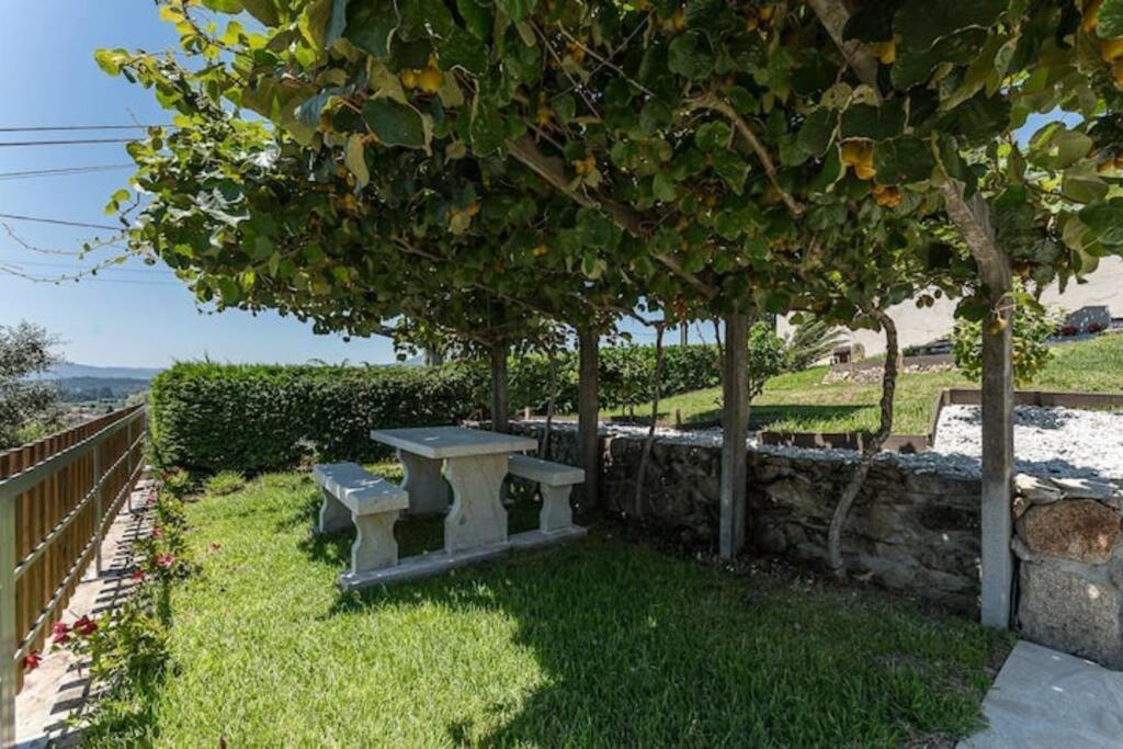 Fernandes Guest House Bright Private Suite Ponte de Lima Exterior photo
